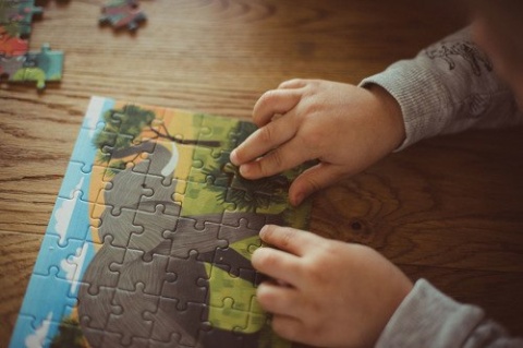 MUDPUPPY Puzzle mini Słoń afrykański 48 elementów 4+