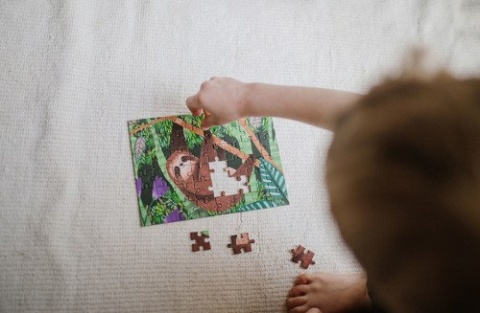Mudpuppy Puzzle mini Leniwiec trójpalczasty 48 elementów 4+