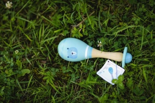 ADAM TOYS Marakas z misiem