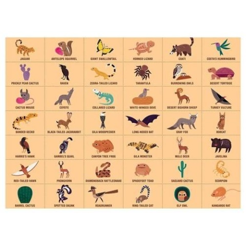 Mudpuppy Puzzle obserwacyjne Amerykańska pustynia 64 elementy 4+