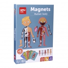 APLI KIDS Magnetyczna układanka - Ciało człowieka