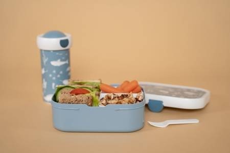 Little Dutch Lunch box Ocean