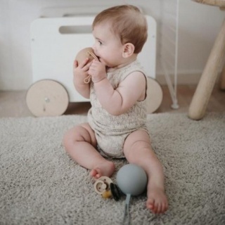 MUSHIE Etui na smoczek do wózka Kula Ball Cambrige Blue