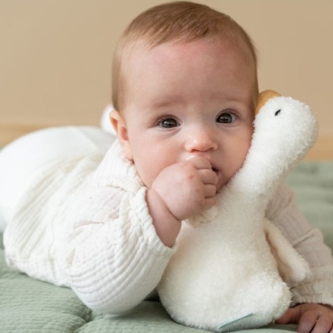 Little Dutch Gąska Balansująca grzechotka z dźwiękiem - Little Goose