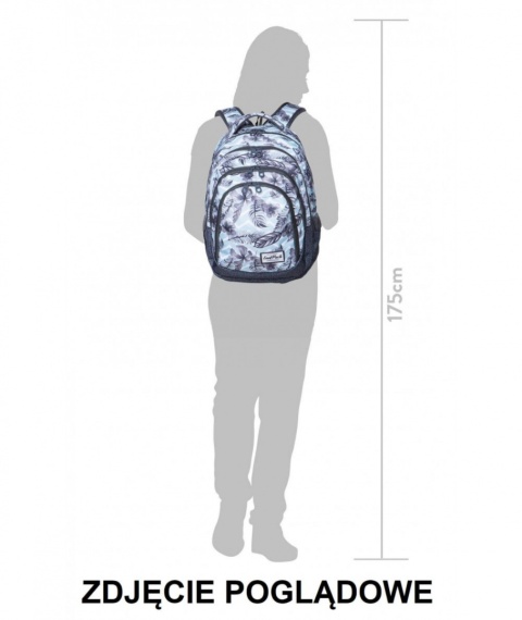 Coolpack Plecak młodzieżowy DRAFTER Butterflies