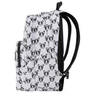 Coolpack Plecak młodzieżowy Discovery French Bulldogs