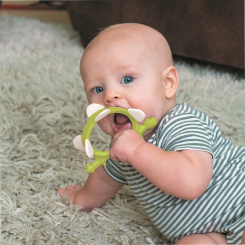 Smily Mia Dinozaur Norman Iron Gree
