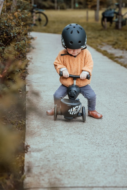 SCOOTANDRIDE Highwaykick 1 Lifestyle 2w1 Jeździk i hulajnoga z zamykanym schowkiem 1-5 lat Zebra