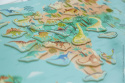Janod Układanka drewniana magnetyczna Mapa świata z 50 magnesami Dinozaury 7+