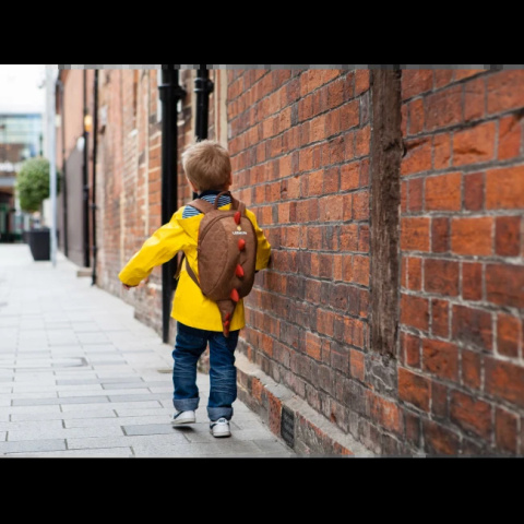 Duży plecak LittleLife Animal Dinozaur