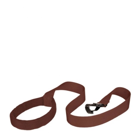 Plecaczek LittleLife Animal - Dinozaur 1-3 lata