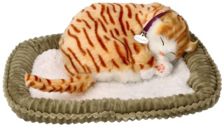 Kotek oddychający z legowiskiem Pręgowany Rudy - Perfect Petzz