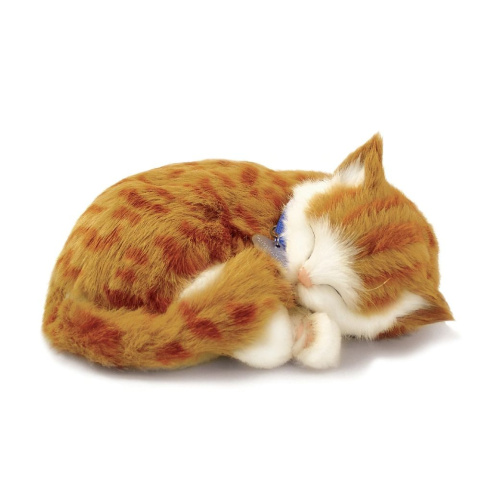 Kotek oddychający z legowiskiem Pręgowany Rudy - Perfect Petzz