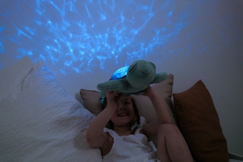 Projektor z pozytywką - Żółw zielony ECO - Cloud b