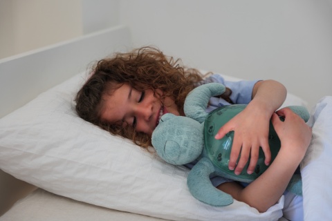 Projektor z pozytywką - Żółw zielony ECO - Cloud b