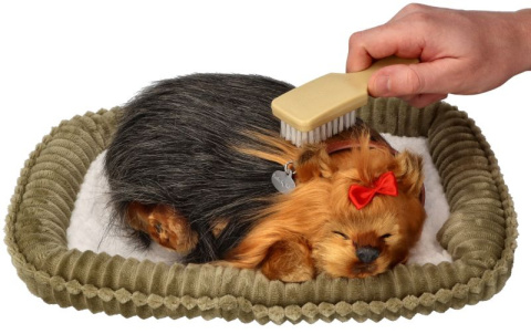 Szczeniaczek chrapiący z legowiskiem - York - Perfect Petzz