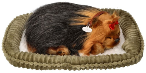 Szczeniaczek chrapiący z legowiskiem - York - Perfect Petzz