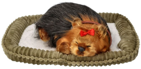 Szczeniaczek chrapiący z legowiskiem - York - Perfect Petzz