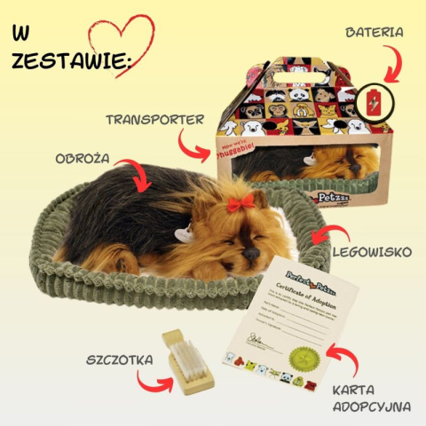 Szczeniaczek chrapiący z legowiskiem - York - Perfect Petzz