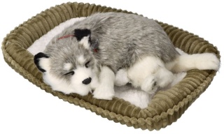 Szczeniaczek oddychający z legowiskiem - Alaskan Husky - Perfect Petzz