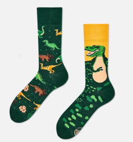manustore.pl many mornings the dinosaurs