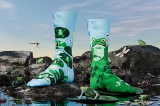 Skarpetki Froggy Frog - rozmiar 35-38 - Many Mornings