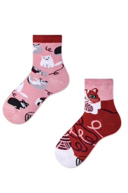 MANUSTORE.PL MANY MORNINGS - PLAYFUL CAT