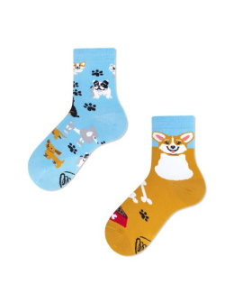 MANUSTORE.PL MANY MORNINGS - PLAYFUL DOG KIDS