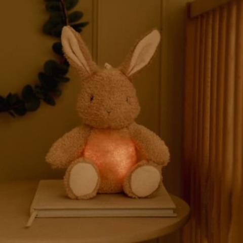 Interaktywny królik Little Dutch Newborn Naturals