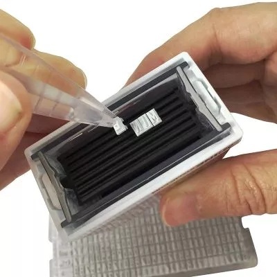 Pieczątka drukarka do odzieży - Zielona