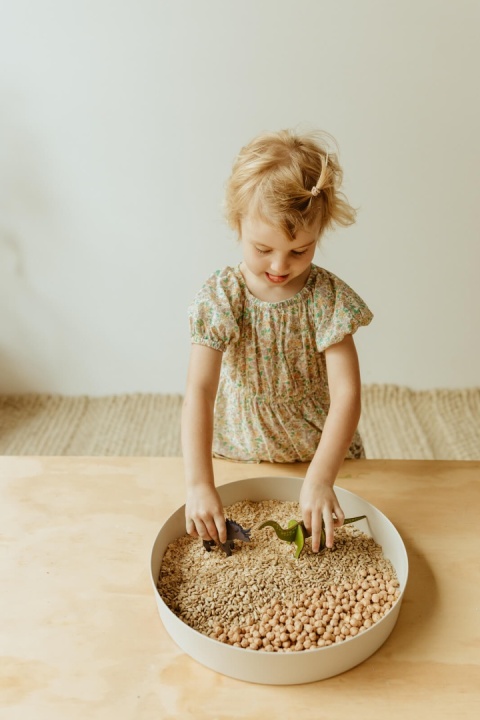 Fioletowa tacka sensoryczna Jellystone Play Tray 2w1 zabawa dinozaurami