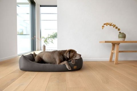 PALOPA Legowisko dla psa bawełniane Fred anthracite L