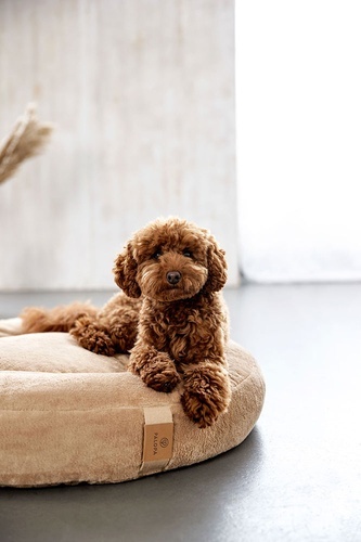 PALOPA Okrągłe legowisko donut dla psa Fippa humus M-L