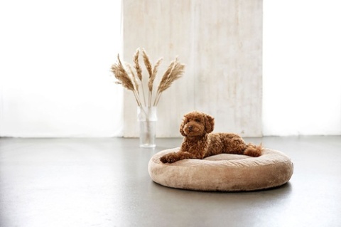 PALOPA Okrągłe legowisko donut dla psa Fippa humus M-L