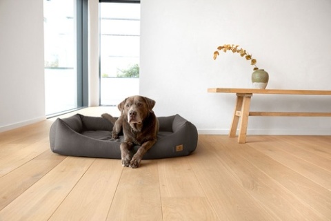PALOPA Legowisko dla psa bawełniane Fred anthracite S