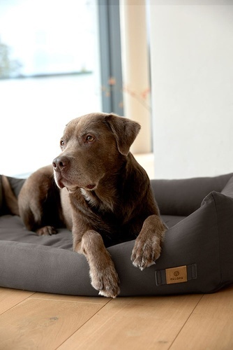 PALOPA Legowisko dla psa bawełniane Fred anthracite S