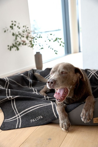 PALOPA Legowisko dla psa bawełniane Fred anthracite XS