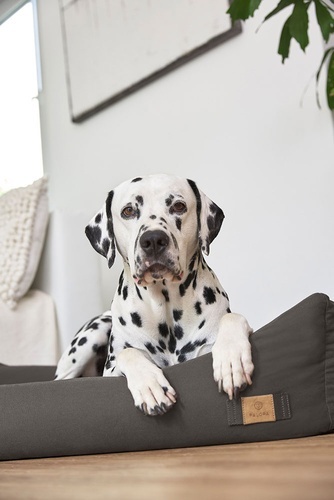 PALOPA Legowisko dla psa bawełniane Fred anthracite XS