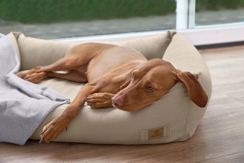 PALOPA Legowisko dla psa bawełniane Fred humus L