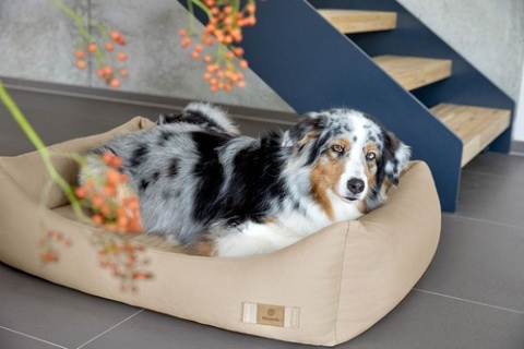 PALOPA Legowisko dla psa bawełniane Fred humus M