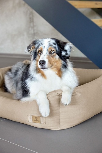 PALOPA Legowisko dla psa bawełniane Fred humus M