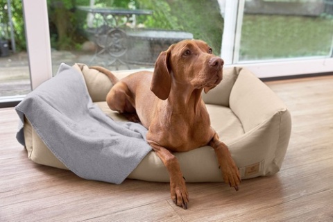 PALOPA Legowisko dla psa bawełniane Fred humus S