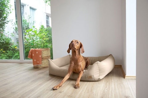 PALOPA Legowisko dla psa bawełniane Fred humus XS