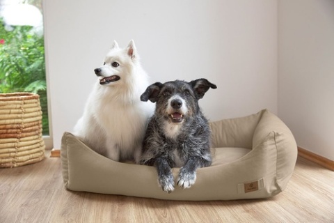 PALOPA Legowisko dla psa bawełniane Fred humus XS