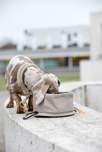 PALOPA Miska turystyczna dla psa składana Tura taupe