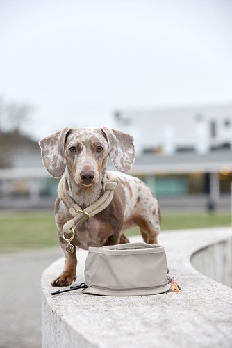PALOPA Miska turystyczna dla psa składana Tura taupe