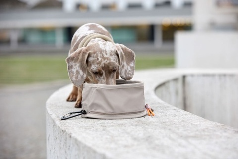 PALOPA Miska turystyczna dla psa składana Tura taupe