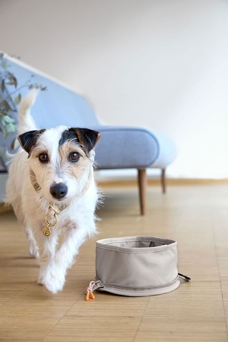 PALOPA Miska turystyczna dla psa składana Tura taupe