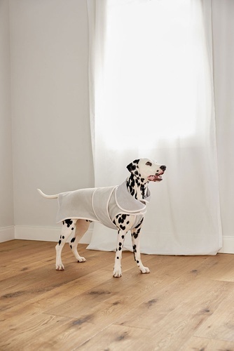 PALOPA Szlafrok dla psa Robi beige S