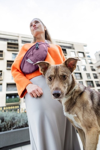 PALOPA Torebka nerka na smakołyki dla psa Emma berry